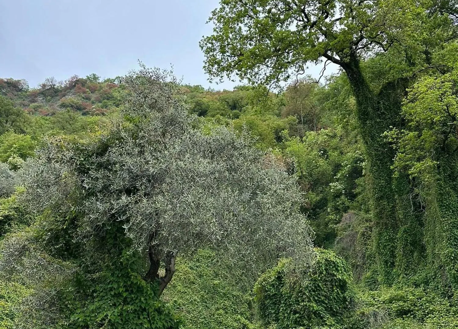 La Casa Del Patio Villa Iseo Holiday home